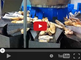 13. COMBIMAT CM-B14 XXL IQF CHICKEN FILLETS