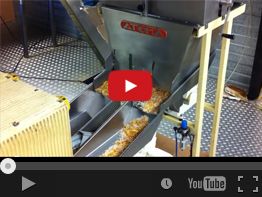 17. ATOMA 233B SOUPMIX