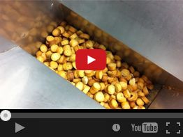 20. ATOMA 233A TOAST