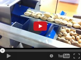 24. ATOMA 233A PISTACHIO NUTS