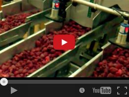 28. NEWWEIGH E42CL FROZEN RASPBERRIES