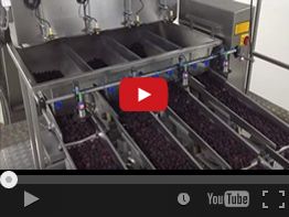 30. NEWWEIGH E42DL FROZEN RASPBERRIES