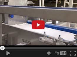 31. NEWWEIGH EB14A WASHING POWDER