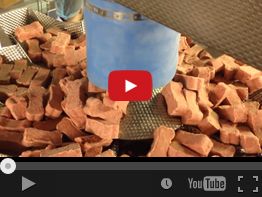 32. COMBIMAT CM-B10 IQF MEAT BONES