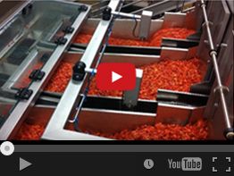 40. NEWWEIGH E24C IQF VEGETABLES