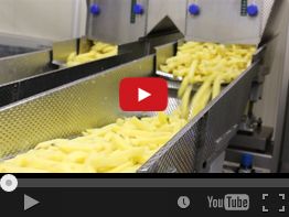 43. NEWWEIGH E43B FRIES