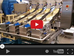 51. NEWWEIGH E42D ONION RINGS