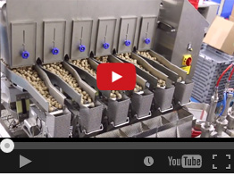 52. NEWWEIGH E106F MEATBALLS