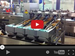 6. NEWWEIGH E42D BISCUITS