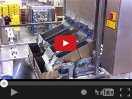 8. NEWWEIGH E222B DISHWASHERPOWDER