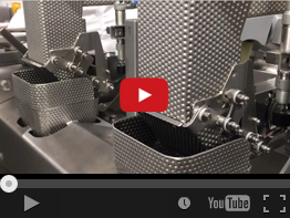 2. NEWWEIGH E106B DICED ONIONS